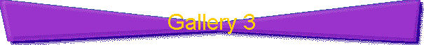 Gallery 3