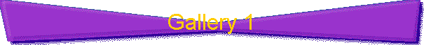 Gallery 1